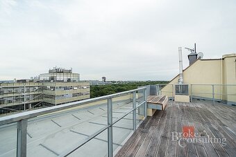 Podnájem, komerční/kanceláře, 110 m2, Jičínská 2348/10, Vino - 20