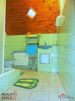 Prodej, komerční/činžovní dům, 380 m2, 54223 Mladé Buky, Tru - 20