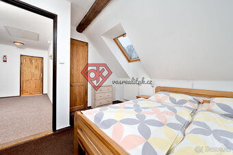 PRODEJ  - penzion Hanka v Orličkách - 20