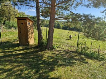 Prodej - rodinný dům - Starý Jičín, Dub - 20