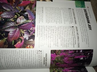 1000 Divů přírody - 20