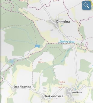 Lesní pozemek Pravonín - 20