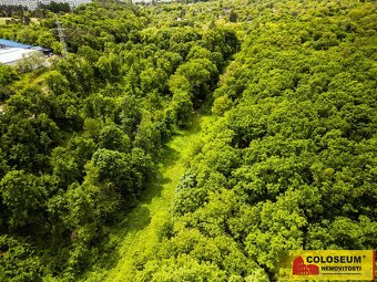 Brno - Sadová, orná půda - 2613 m2 - pozemek, ev.č. E370L015 - 20