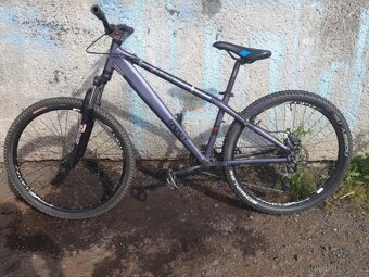 MTB/DIRT PELLIS ROOT - 20