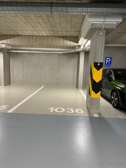 Pronájem bytu 3kk - 20