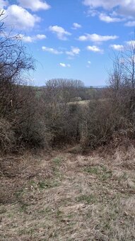 Jalubí - místo pro odpočinek - 20