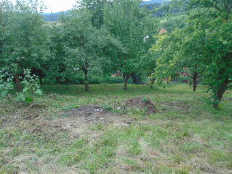 PRODEJ RODINNÉHO DOMU, LOUČKA - 20