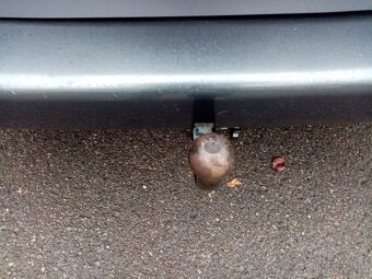 VW T5 MULTIVAN 1.9TDI-77KW(ORIG.BEZ DPF),R.V.2006 - 20