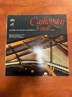 Sbírka LP Desek - 20