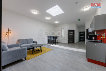 Pronájem výrobního objektu, 1829 m², Dolní Rychnov - 20