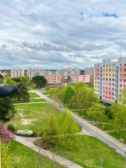 Prodej bytu 3+1 Pardubice - Studánka - 20
