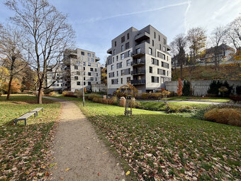 Pronájem bytu 2+kk, Vítězná, Liberec, 20500 Kč/měs, 56 m2 - 20