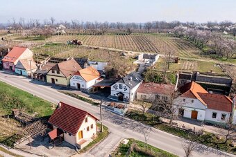 Vinný sklípek - penzion podnikání - 20