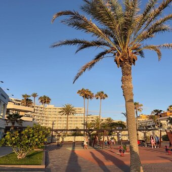 TENERIFE: Slunný apartmán 2+kk, Puerto de la Cruz – Tenerife - 20