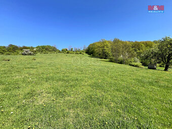 Prodej louky, 21830 m², Malšovice - Hliněná - 20