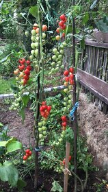 CHATA RABYNE, SLAPY - 20