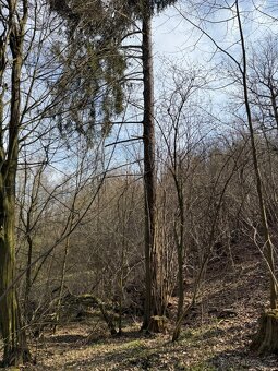 Prodám pozemky v katastrálním území Louňovice pod Blaníkem - 20