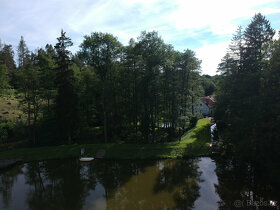 Půvabný mlýn s rybníky, lesy, pastvinami, 5 apartmanů - 20