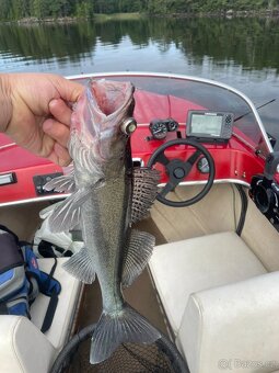 Rybářská loď Selco Rival - 20