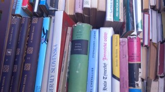 Prodám hodně knih více než 1000 kusů - 20