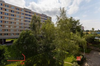 Podnájem, byty/3+kk, 76.5 m2, Novodvorská 1096/120, Braník,  - 20