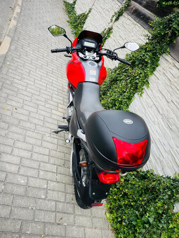 Suzuki XF 650 Freewind r.v.2000 35kW - 20