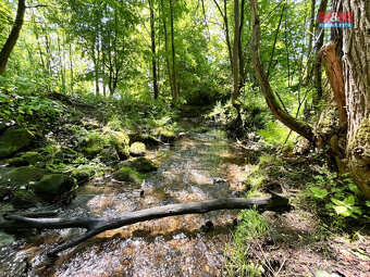 Prodej vodní plochy, 3255 m², Skalice u České Lípy - 20