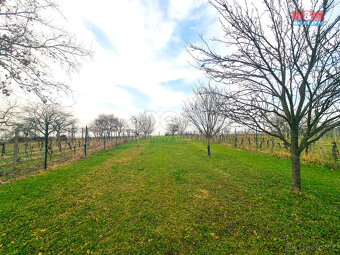 Prodej ovocného sadu, 4096 m², Starý Poddvorov - 20