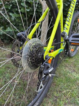 Horské kolo Specialized M/17.5 - 20