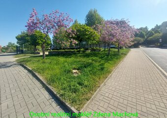Pronájem velkého bytu s terasou, 2x park,stání, 2x sklep - 20