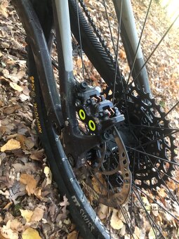 Scott Ransom 920L mulett - 20