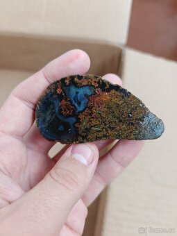 Acháty řezy Timor - 20