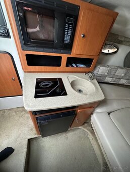 Ceownline 250CR kajutovy motorový člun - 20