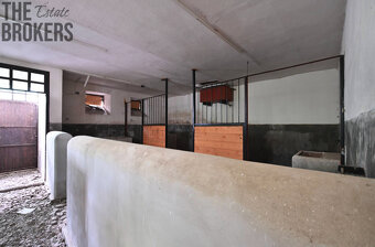 Rodinný dům Zásmuky - Vršice, pozemek 42 000 m2 - 20