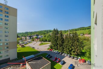 Podnájem, byty/3+1, 55 m2, Jižní 466, Podmoklice, 51301 Semi - 20