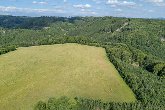 Prodej souboru zemědělských pozemků, 73 836 m², Městečko Trn - 20