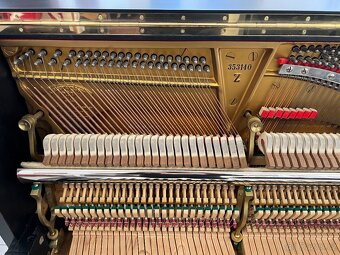 Steinway &Sons se zárukou 2 roky, doprava zdarma. - 20