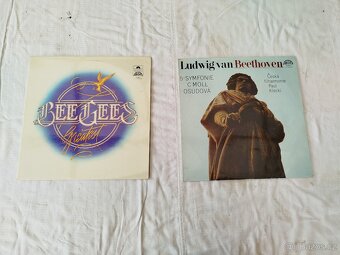 Vinylové desky - 20