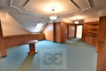Rodinný dům 6+1 v Průhonicích, ul.Říčanská, ev.č. N07921 - 20