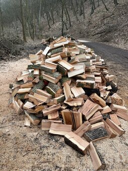 Prodej palivového dřeva - 20