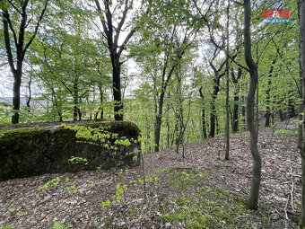 Prodej zahrady, 2545 m², Chrastava, Andělská Hora - 20