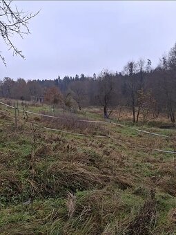 Prodej chaty 42 m², pozemek 42 m² Heřmaň - 20