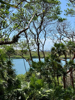 Atocha Lot 1&2 -First Bight, Roatan - 20