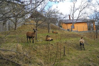 RD Jaroměřice u Jevíčka,5+1 - 20