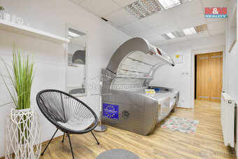Prodej rodinného domu, 300 m², Roudnice nad Labem, ul. Rvačo - 20