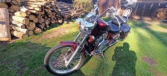 Suzuki VS 800 GL Intruder - 20