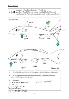 Materiály do 1. ročníku VETUNI - 20