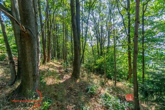 Prodej, pozemky/bydlení, 1161 m2, Hraničná, 46811 Janov nad  - 20