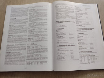 PLZEŇ S VŮNÍ BENZÍNU - 20