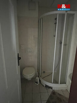 Prodej rodinného domu, 600 m², Zásada - 20